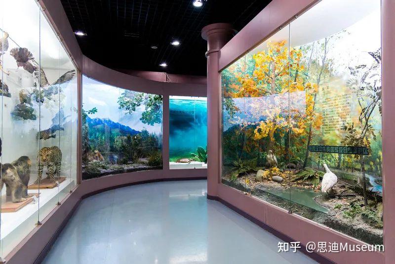 博物馆vol014北京自然博物馆