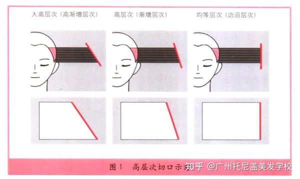 发型师设计师必须知道:什么是高层次修剪技法?