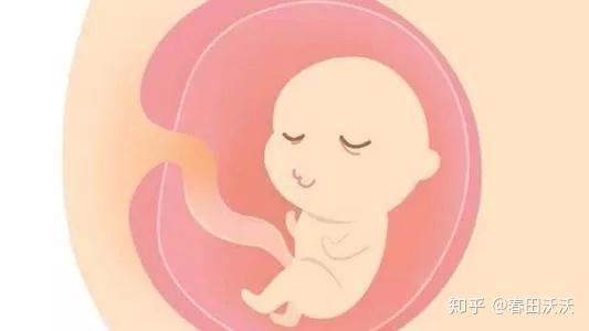 孕妈当心一定要警惕这三种常见的胎儿生长受限情况发生