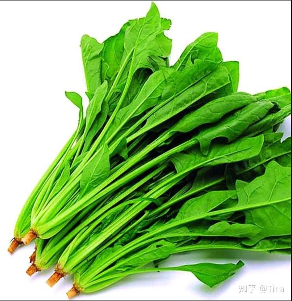 【护眼小知识】八大护眼食物有哪些?
