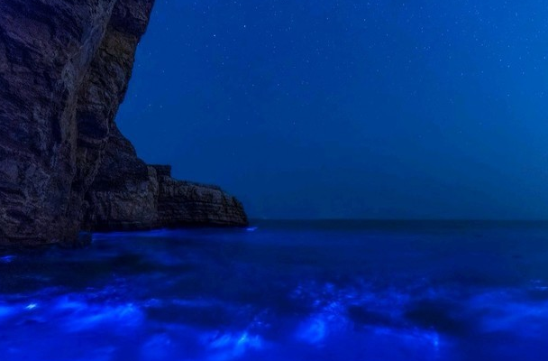 福建超美海岛4月开始就变成了荧光海蓝眼泪超梦幻