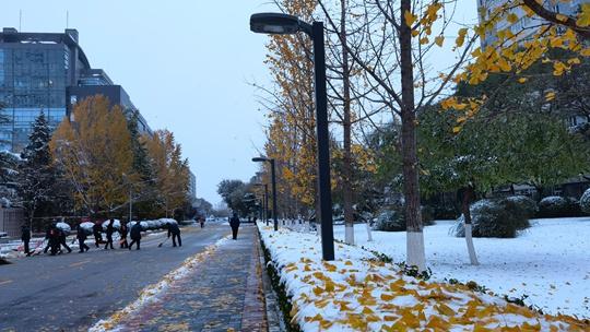 今日立冬北京白天有中雪 阵风可达8级左右