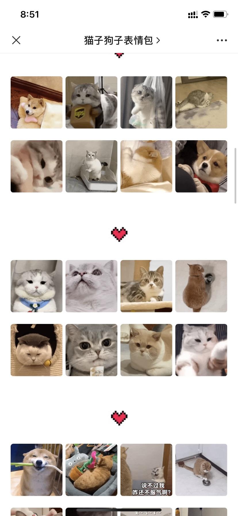 有没有这样贱贱的猫猫表情包