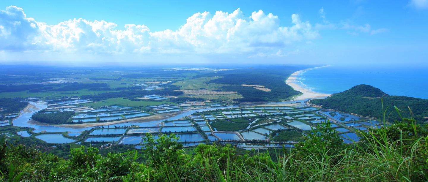 海南省推进国土空间用途管制行政审批制度改革
