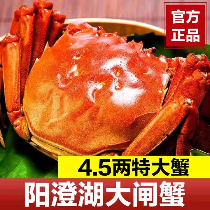 【活蟹】湖塘烟雨 阳澄湖大闸蟹公4.5两 母3.5两 4对8