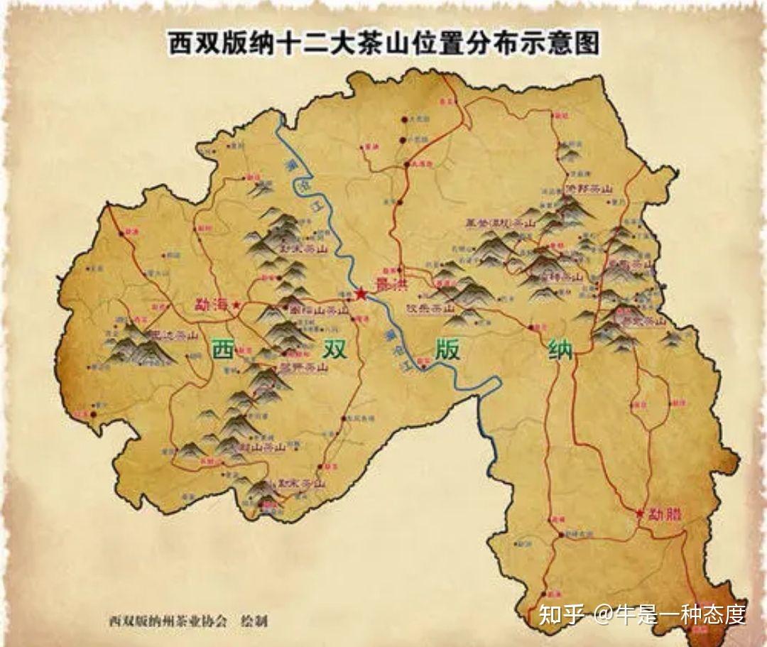 勐腊茶区与勐海茶区的普洱茶有什么区别