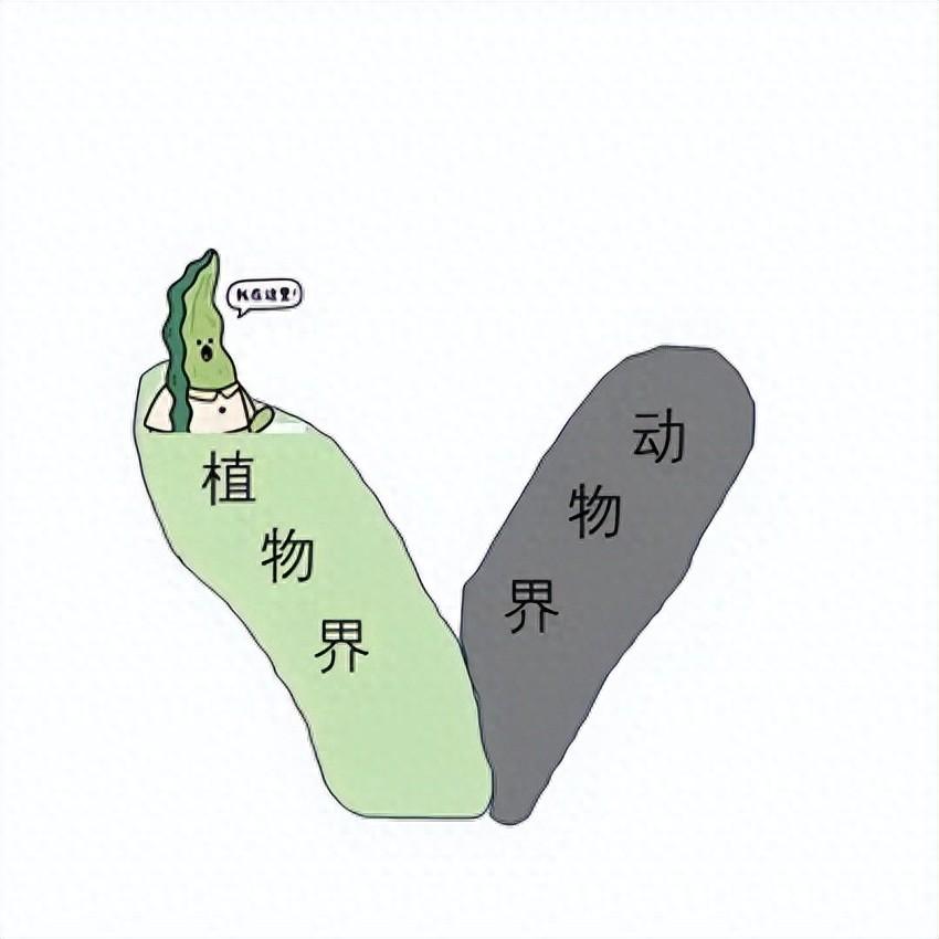 v2 5f6e1e091d606aecb3023649f840da7c 1440w