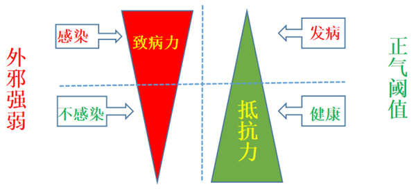 5 冀中首创中兽药"三通替抗"关键技术 中兽药"三通替抗"核心方案