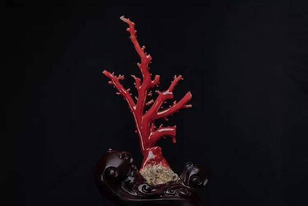 红珊瑚真假鉴别——如何区分染色海竹和天然红珊瑚
