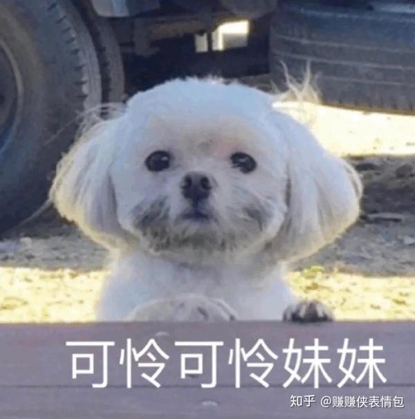 可爱表情包图片:当场愣住