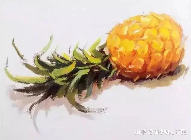 水粉画如论如何都画不好水果