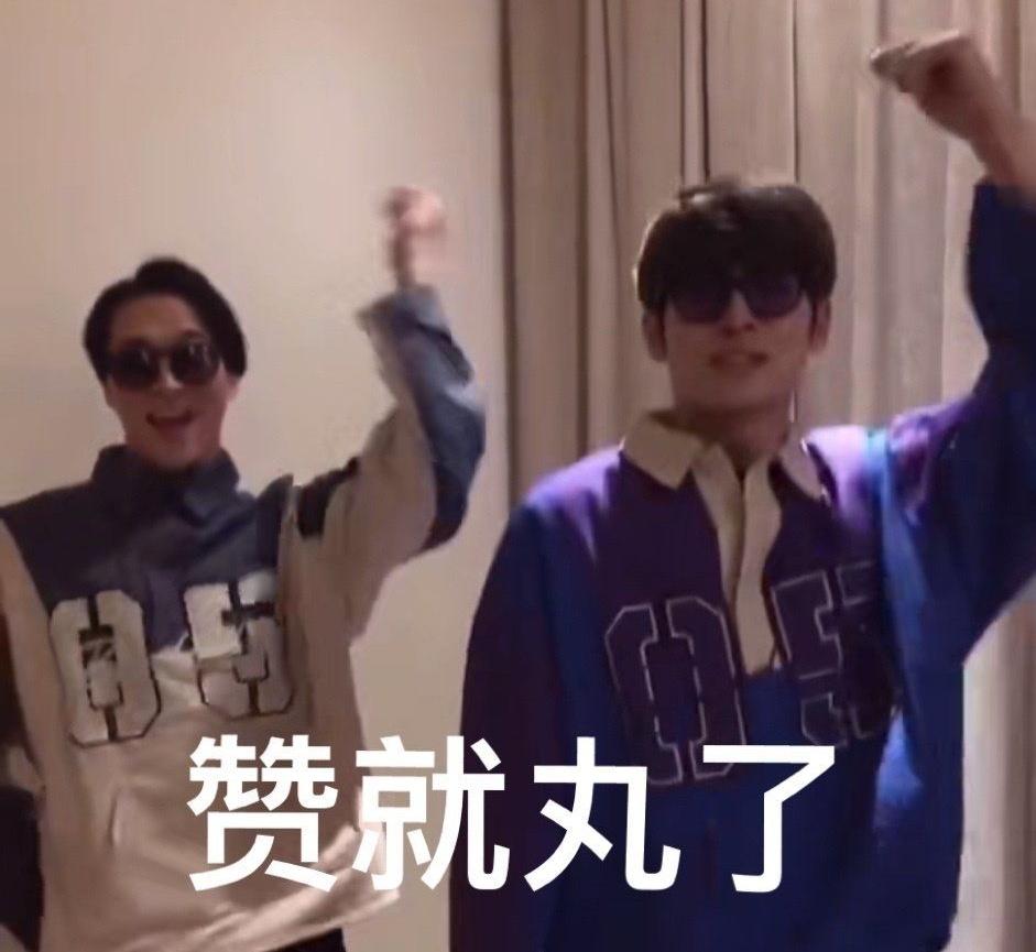赞多和力丸鹅会选谁