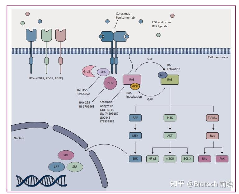 Nejm Kras