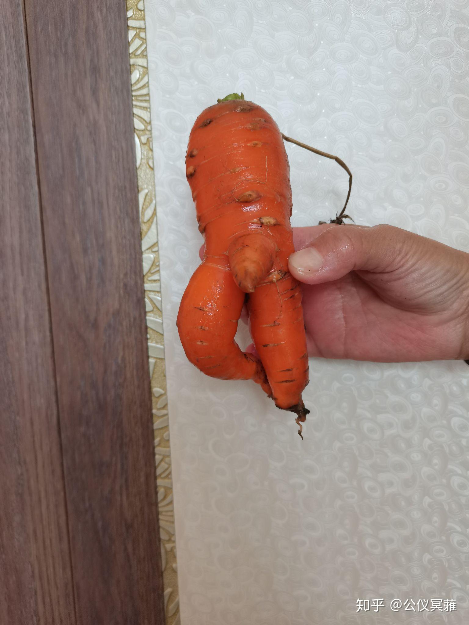 论形状奇怪的食物