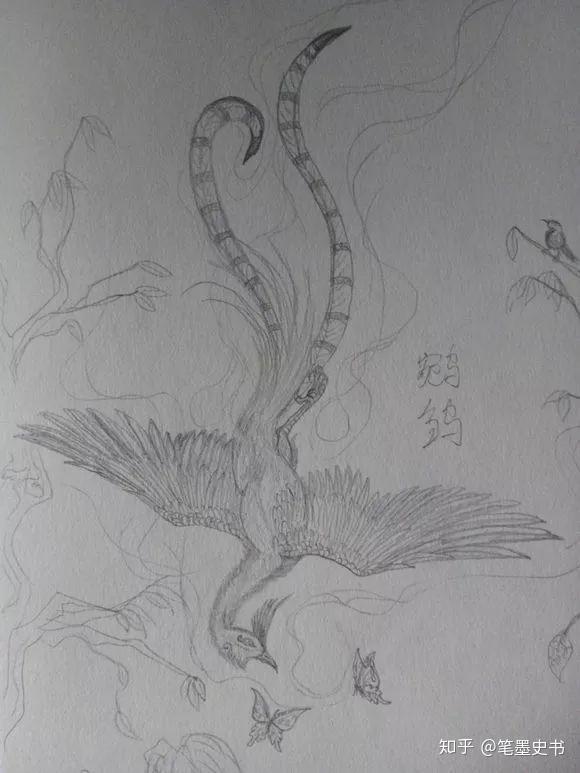 鬼车鸟是凤凰的一种,传说楚人的祖先祝融是火凤的化身,传说中的火神.