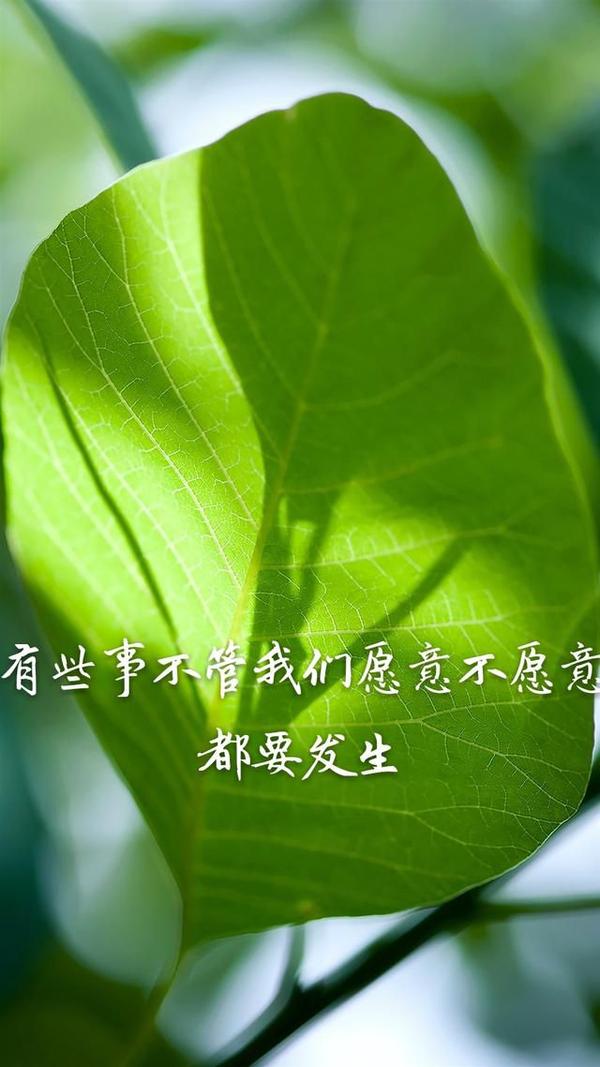 我上四年级时,看到我爸和一个女人的暧昧聊天.