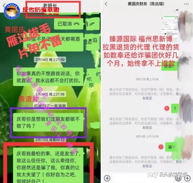 第四步:弃猪待时机成熟后,黄国庆等人就开始在微信群以臻源国际的