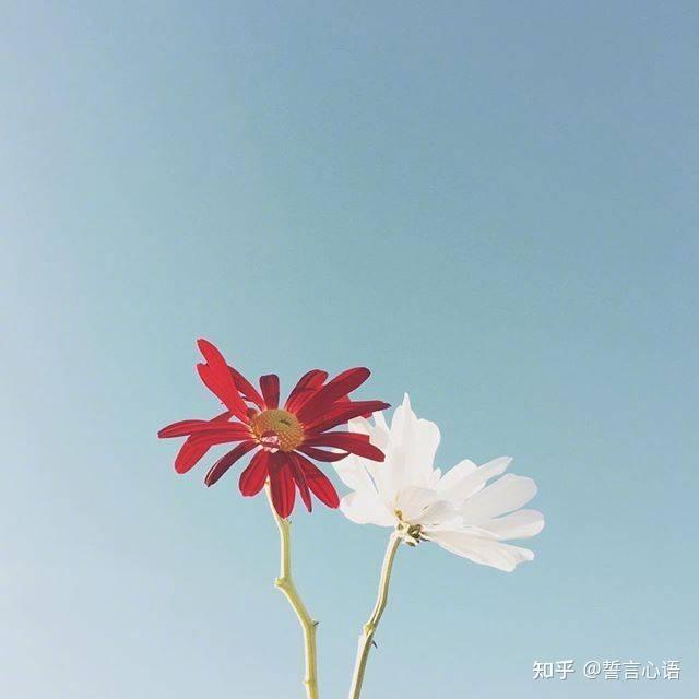 放宽心态看淡一切的21句话太经典了