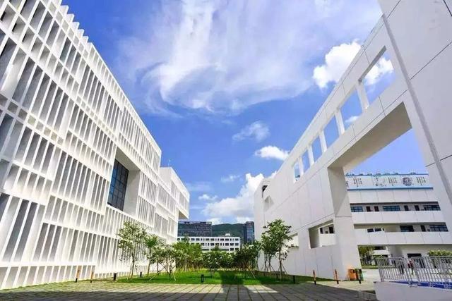 深圳技术大学新高考选考科目:物理可报5个专业,其它要凉凉了