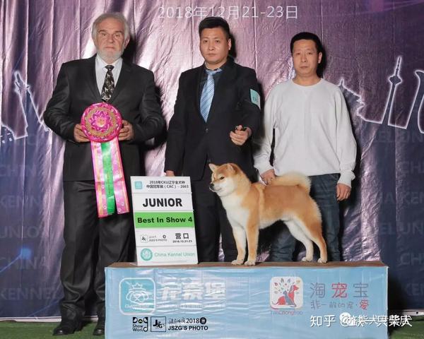 这次比赛【玲竜の丸】以优异的成绩 夺得了柴犬青年组登录冠军的赏励