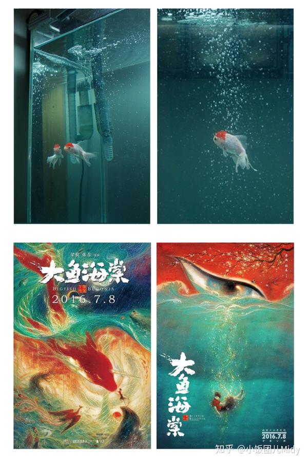 教你拍出梦幻小金鱼 (鱼缸里的鱼也可以拍出深海感)