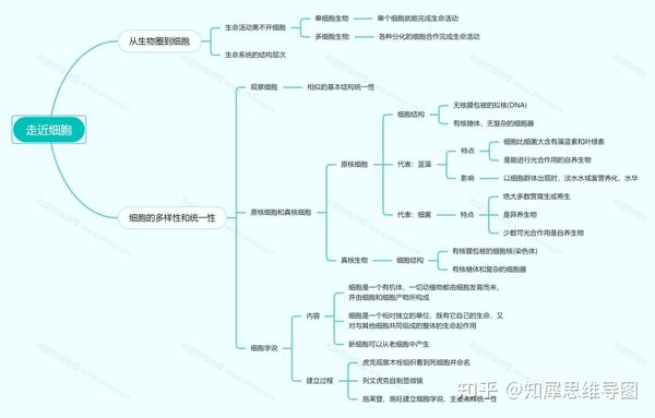 高中生物思维导图:走近细胞-高中生物必修一