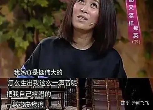 萌探探探案里那英和杨紫是不是有矛盾