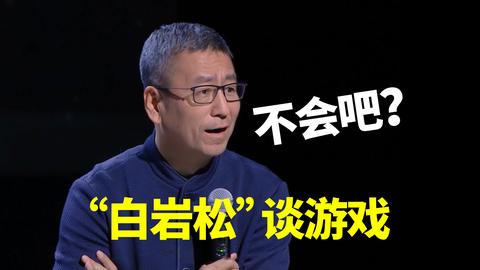 "白岩松"谈游戏:放宽审查?游戏分级?不会吧?