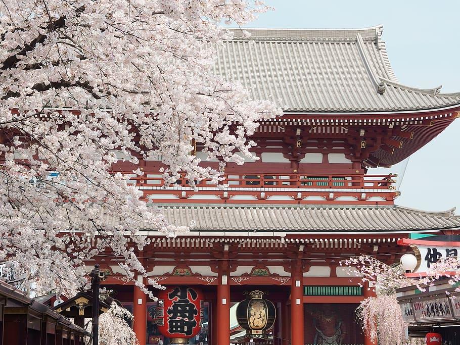一文带你了解日本古建筑的智慧与匠人之魂!