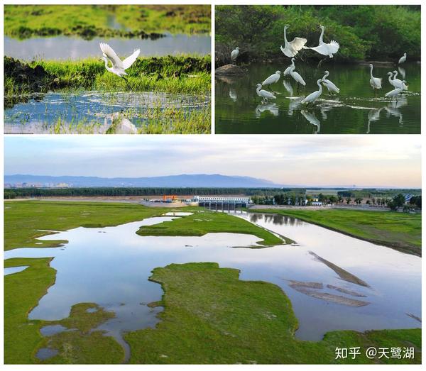 天鹭湖平遥全域旅游第三极城市焕新升级的希望之舟