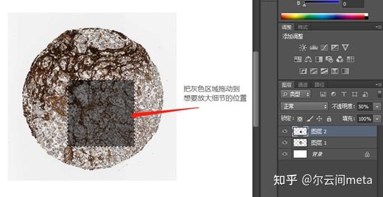 人类高质量科研图片生信sci免疫组化细节放大图绘制手把手教会你