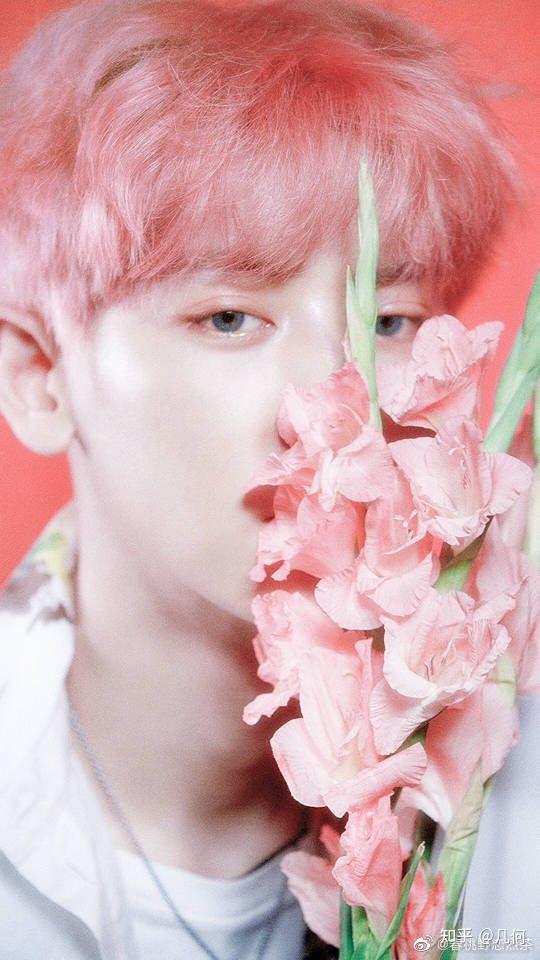 有没有关于朴灿烈的神图