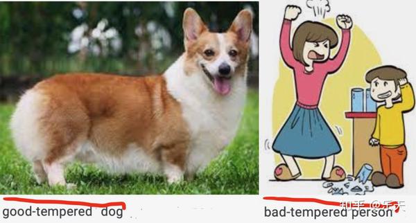 每天快乐一分钟英语 (good-tempered vs bad-tempered