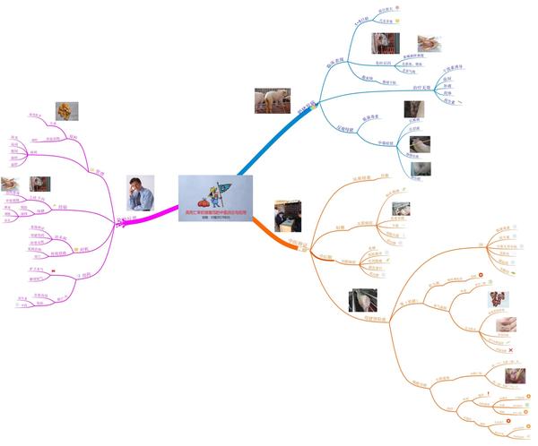 养猪系统控制技术之思维导图