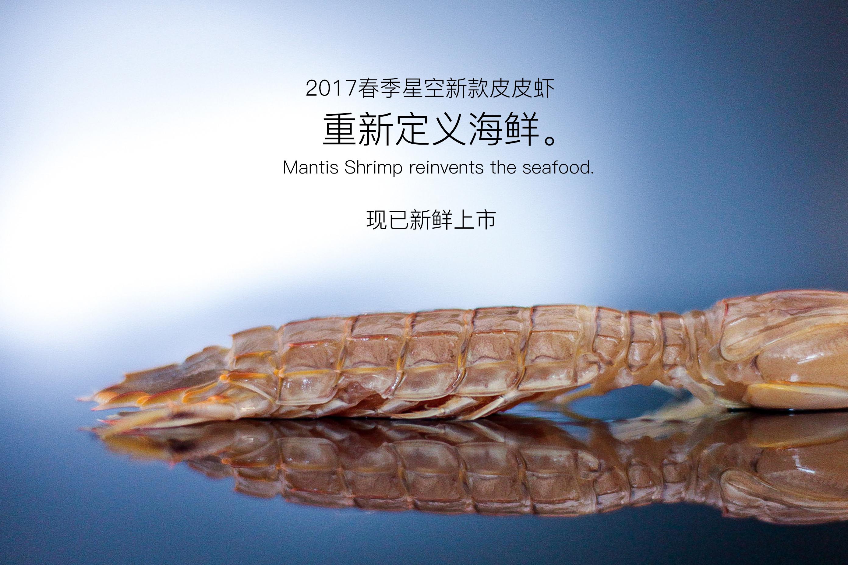 依旧是平民的拍法…「2017春季星空新款皮皮虾」· 用科技重新定义