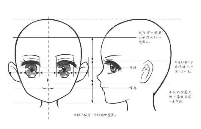 十字线画动漫头部,圆脸方脸瓜子脸都可以~!