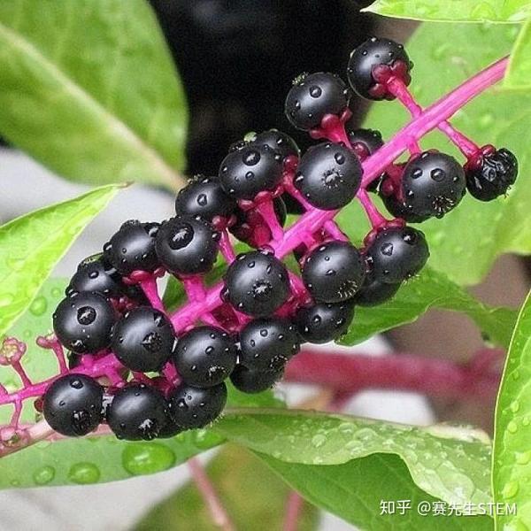 生活中处处存在安全隐患,熊孩子不该干的那些小破坏,用科学让ta信服