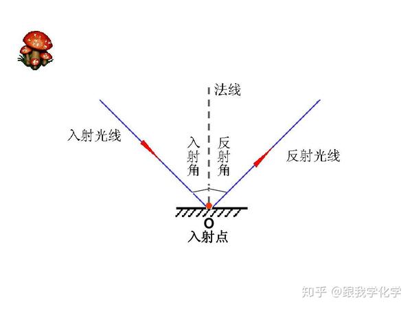 2018中考物理光的反射折射现象考点总结