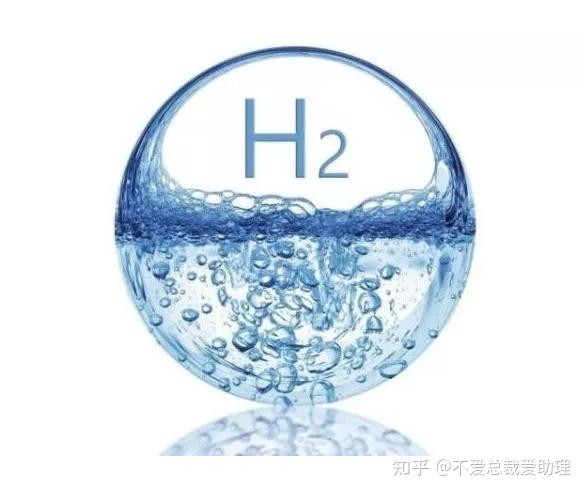 今日水素珊瑚藻:神奇的卢尔德圣水