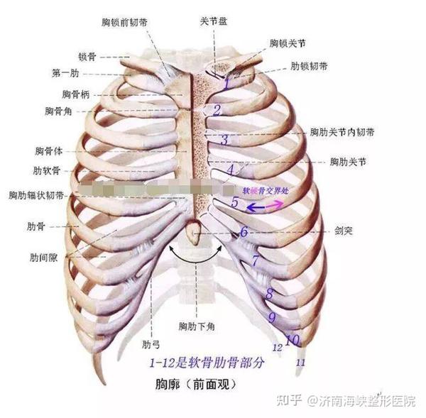 做肋软骨隆鼻你不得不知道的事