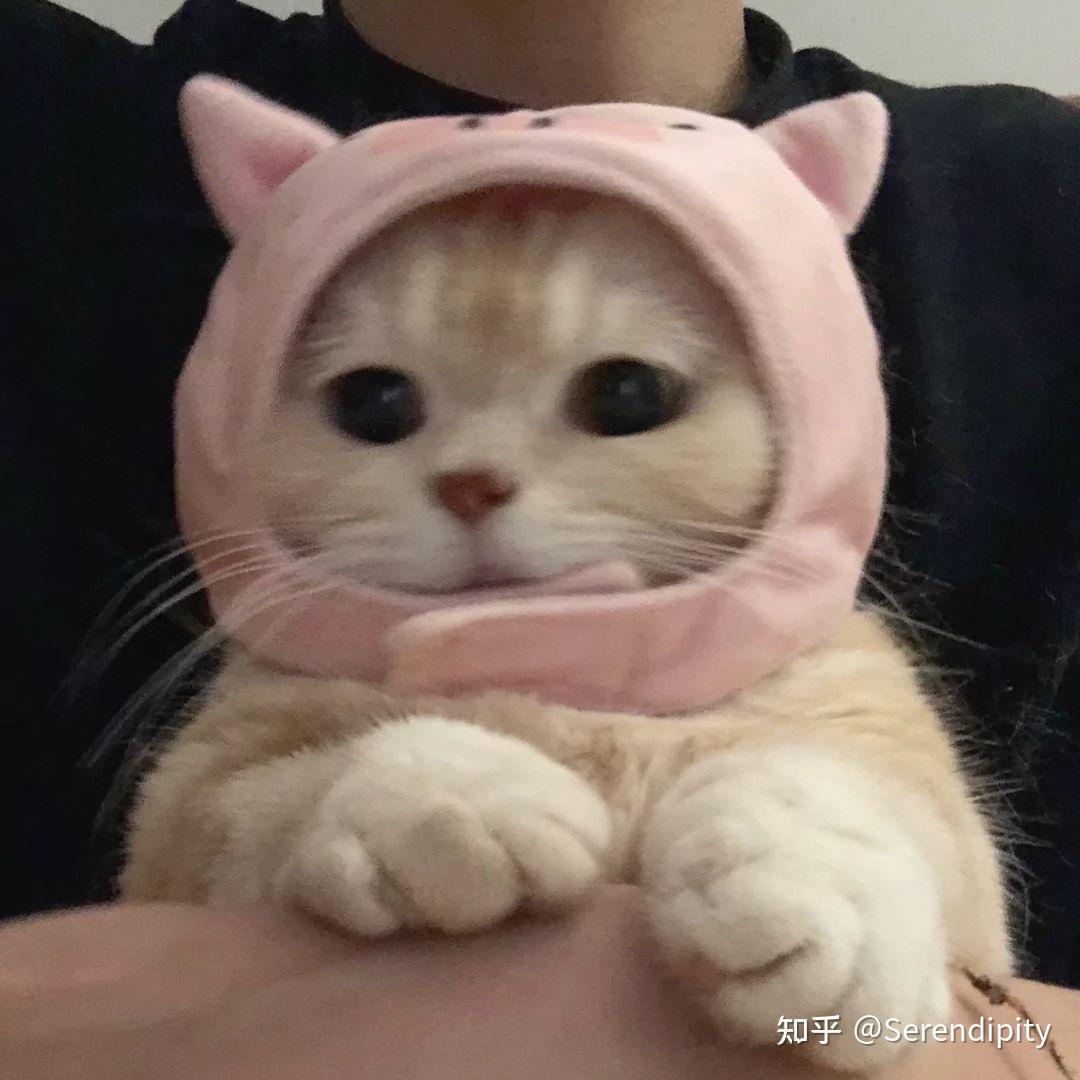 有没有比较可爱的表情包