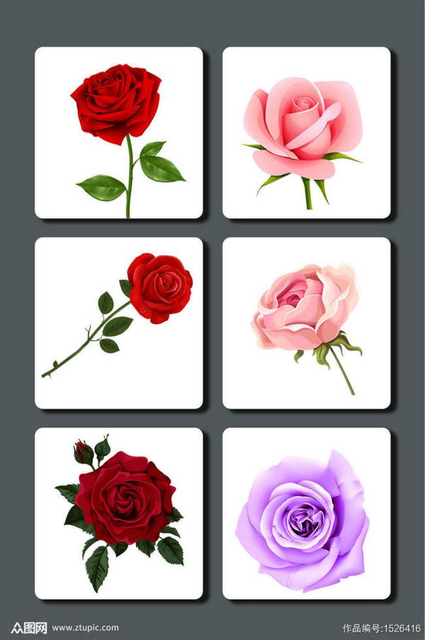 众图网好看的玫瑰花免抠设计素材图片