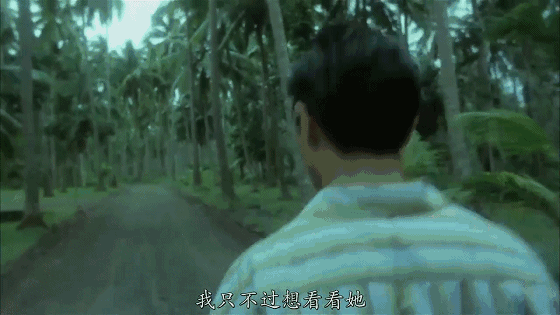 如何评价《阿飞正传》这部电影?