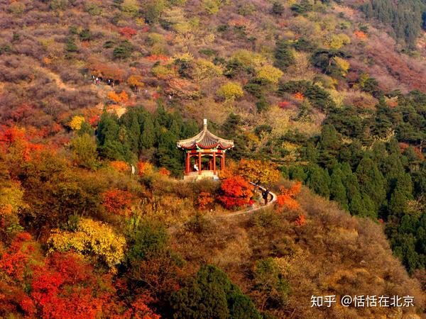 十月到十一月去北京香山公园洗洗眼吧!漫山遍野的红枫叶是拍照圣地