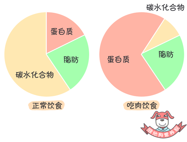 禁食「碳水化合物」正确吗?「阿特金斯减肥法」有效安全吗?