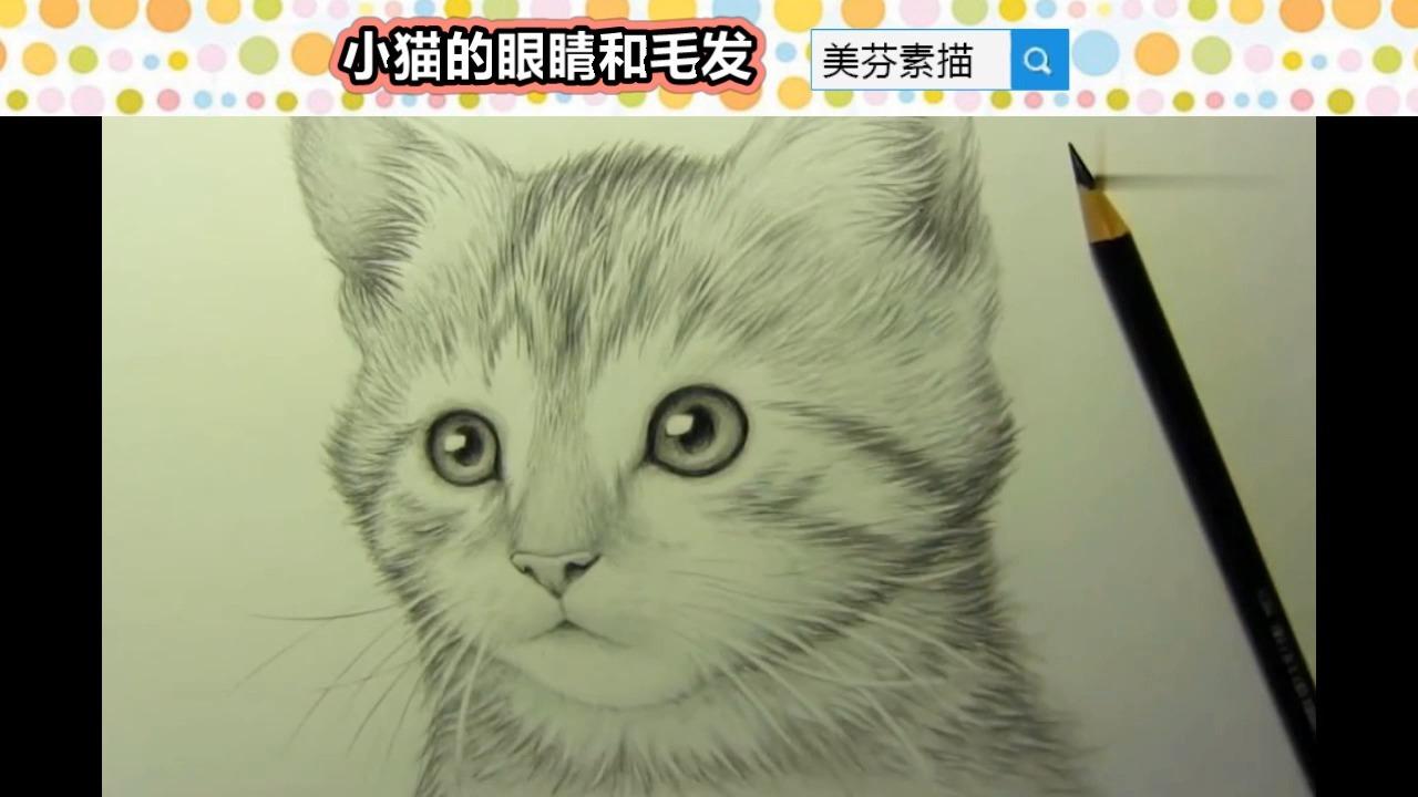 创意素描小猫的画法记住两个重点眼睛要亮毛发排线要软