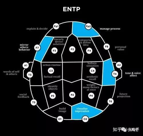 enfp相比其他人格更倾向于喜欢音乐吗