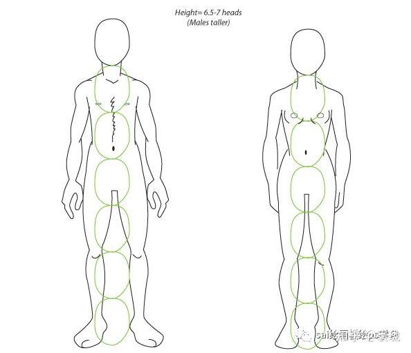 裸主义人体艺术基础掌握身体比例