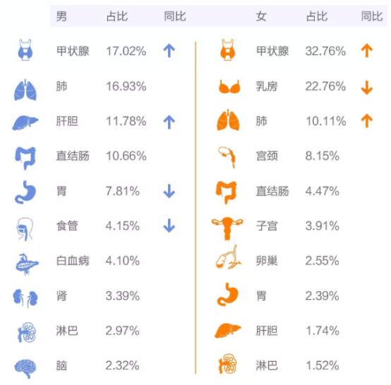 43家人身险公司2019年理赔年报解读透过大数据你能看到什么