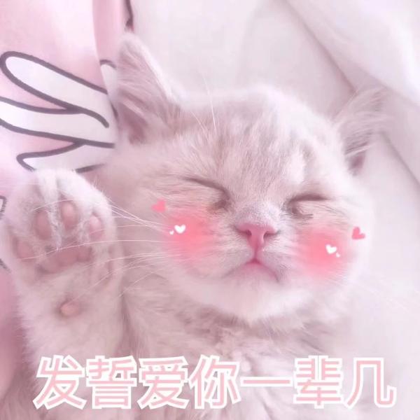 表情包丨恋爱专用表情包,爱你哦
